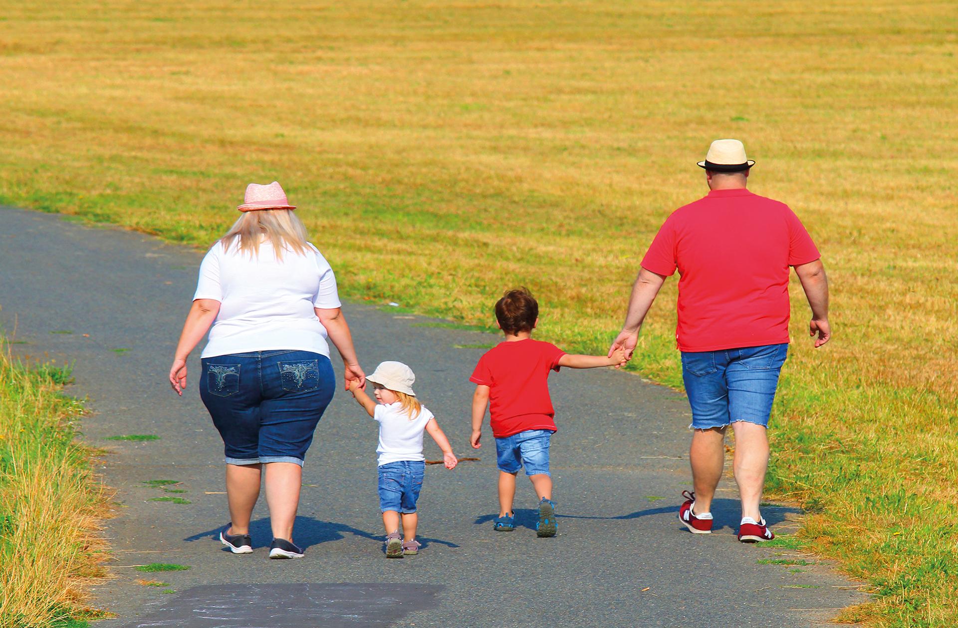 Problém obezity v české populaci z pohledu dostupných populačních dat